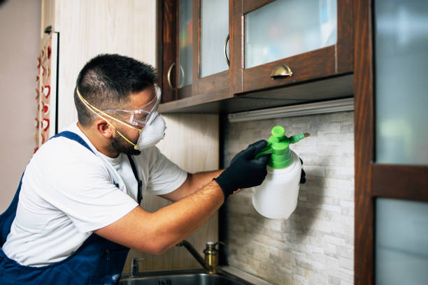 Reliable Juarez, TX Pest Control Solutions