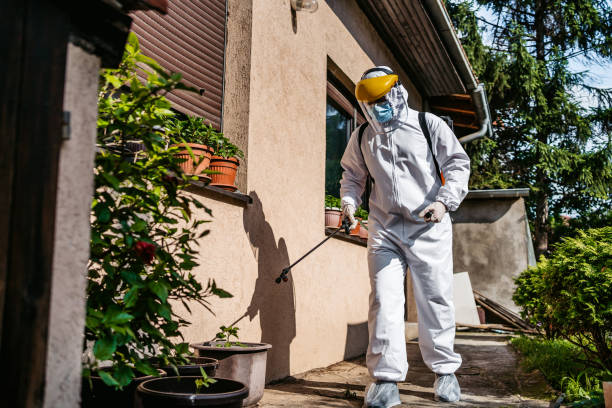 Best Wasp Removal Services  in Juarez, TX