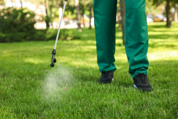 Best Termite Control Services  in Juarez, TX