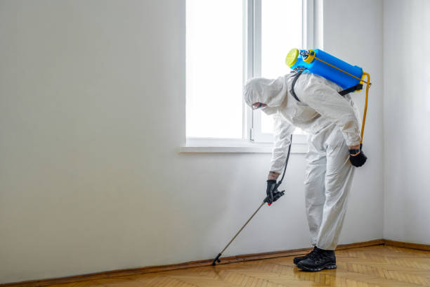 Best Flea Control Services  in Juarez, TX