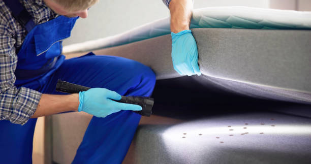 Best Affordable Pest Control Services  in Juarez, TX