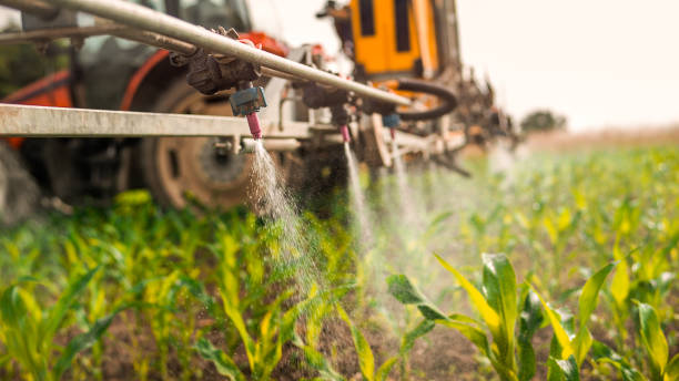 Best Mosquito Control Services  in Juarez, TX